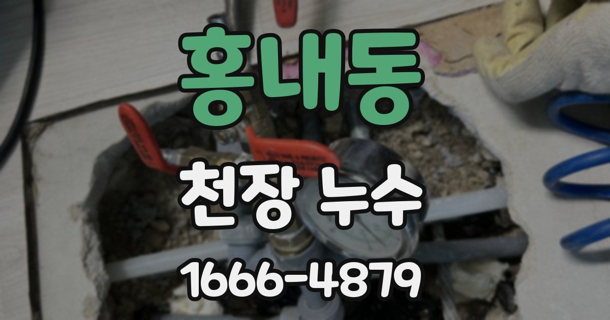 홍내동 천장 누수