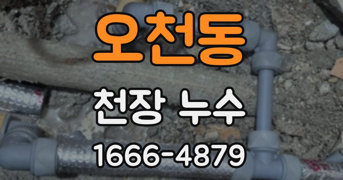 오천동 천장 누수