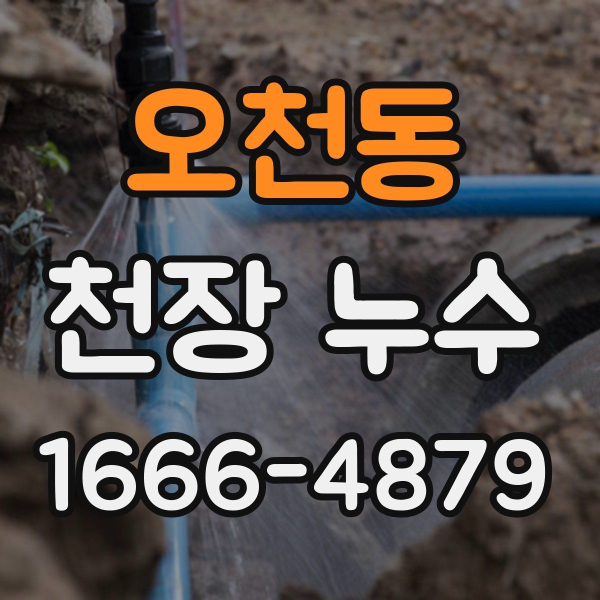 오천동 천장 누수