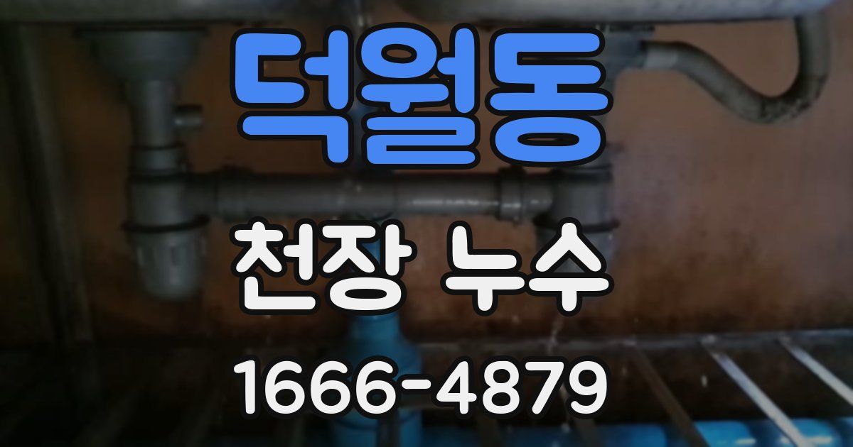 덕월동 천장 누수