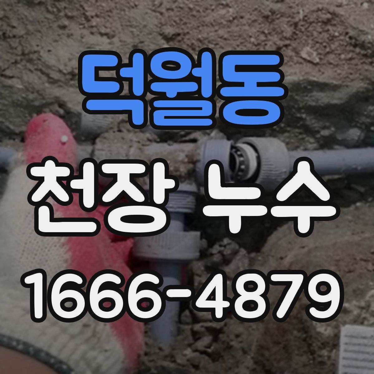 덕월동 천장 누수