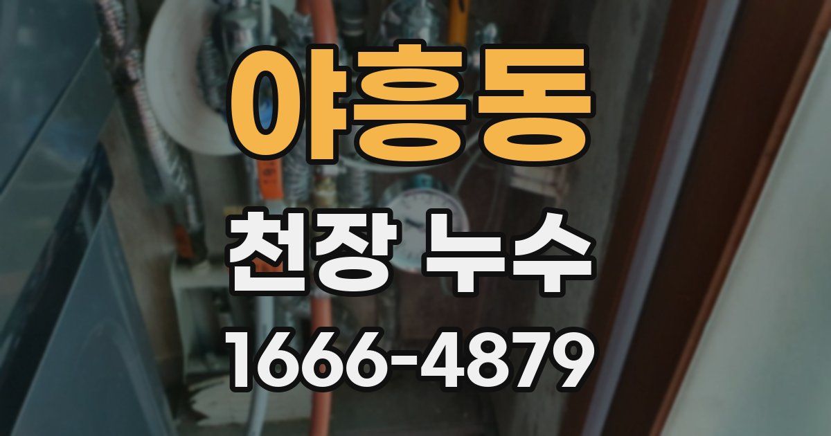 야흥동 천장 누수