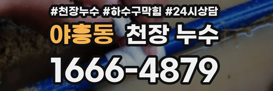 야흥동 천장 누수