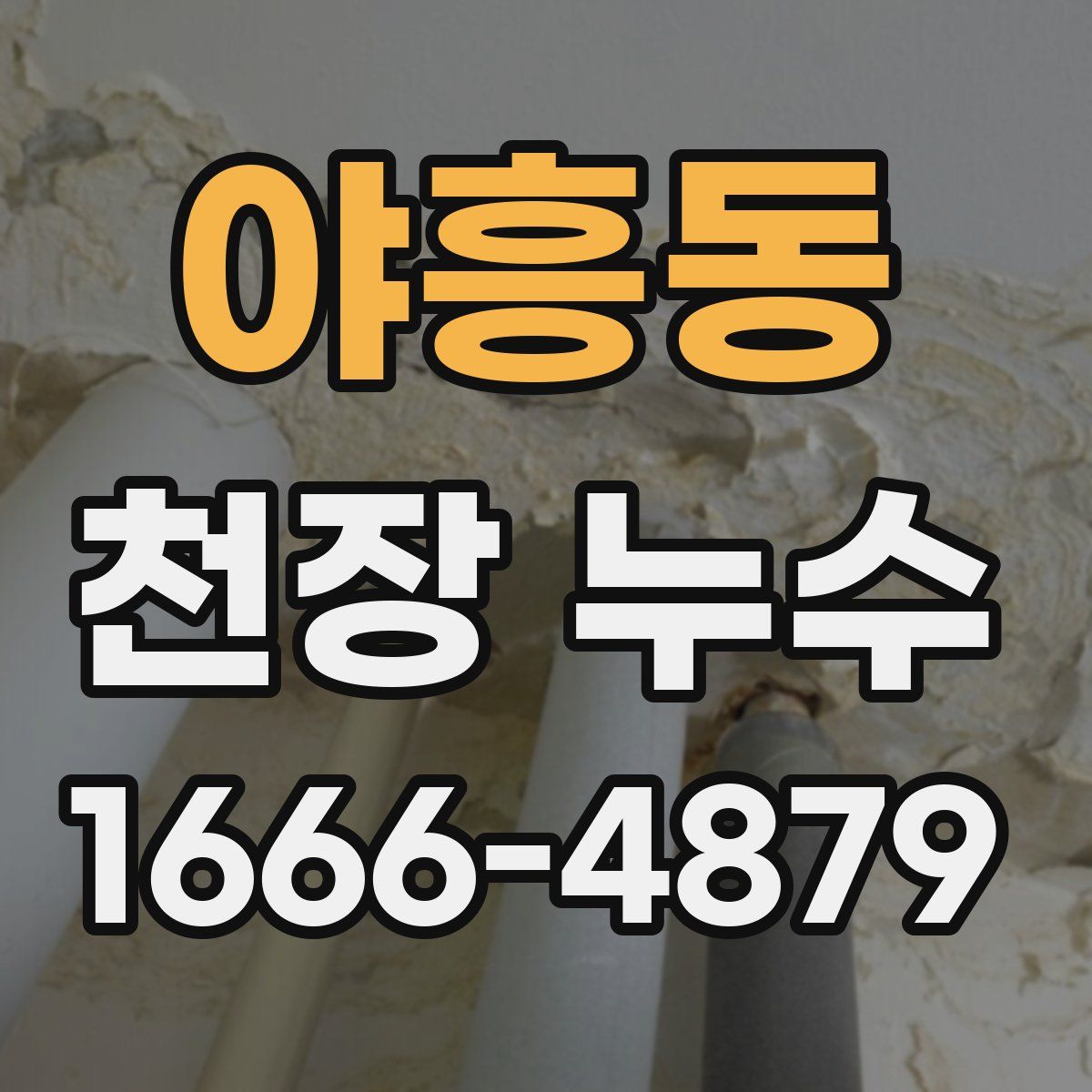 야흥동 천장 누수