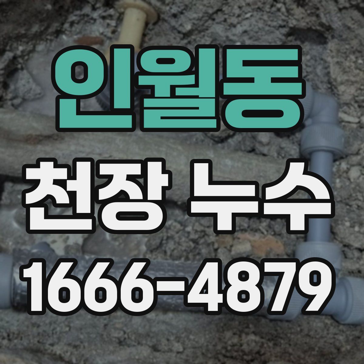 인월동 천장 누수