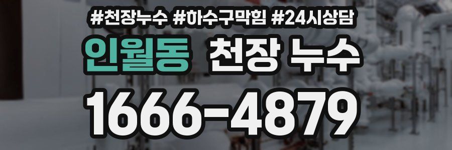 인월동 천장 누수