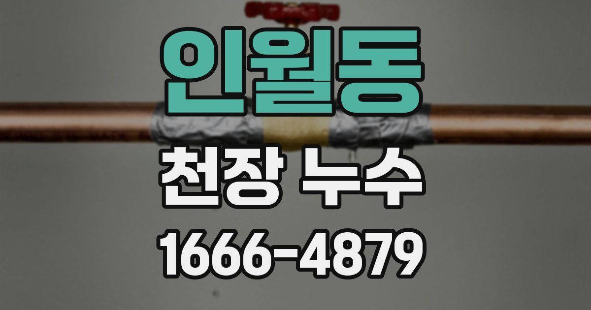 인월동 천장 누수