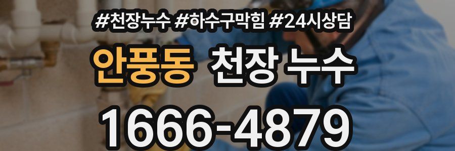 안풍동 천장 누수