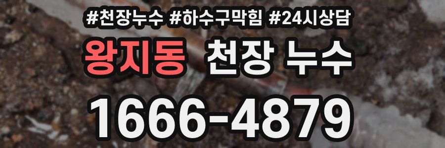 왕지동 천장 누수