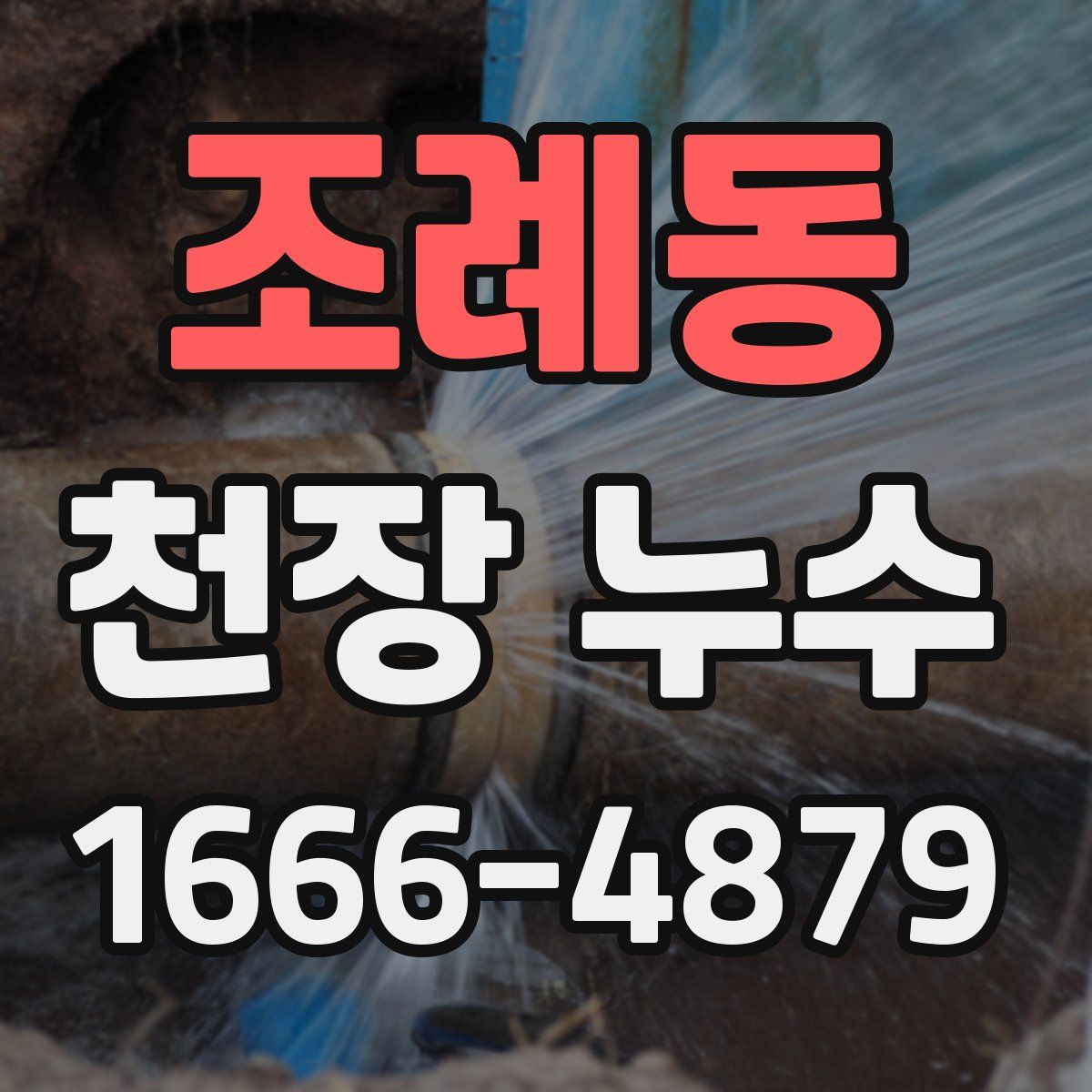 조례동 천장 누수