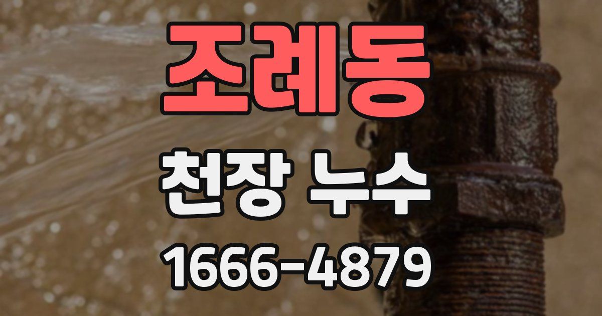 조례동 천장 누수