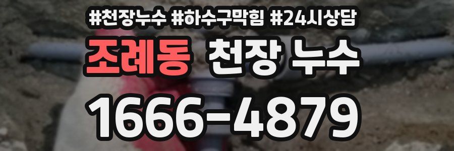 조례동 천장 누수