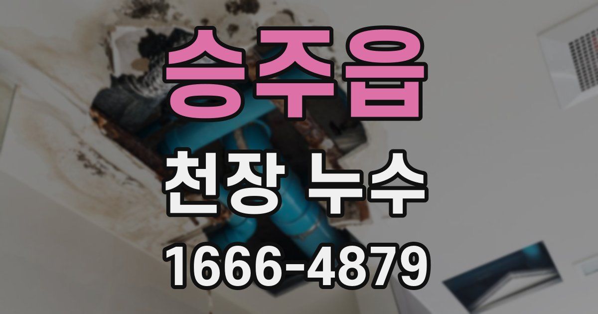 승주읍 천장 누수