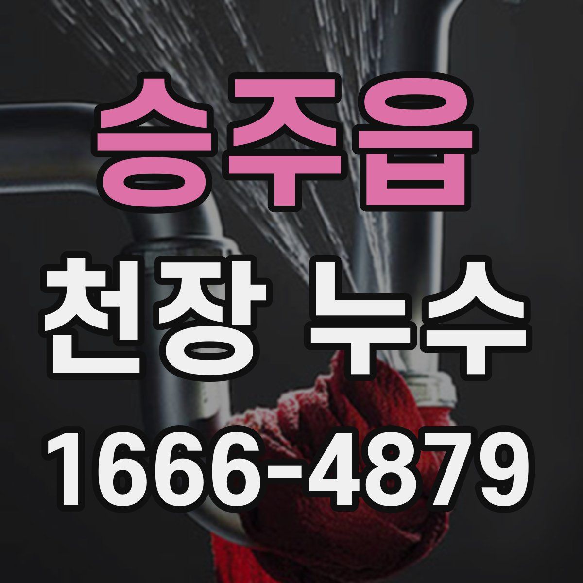 승주읍 천장 누수