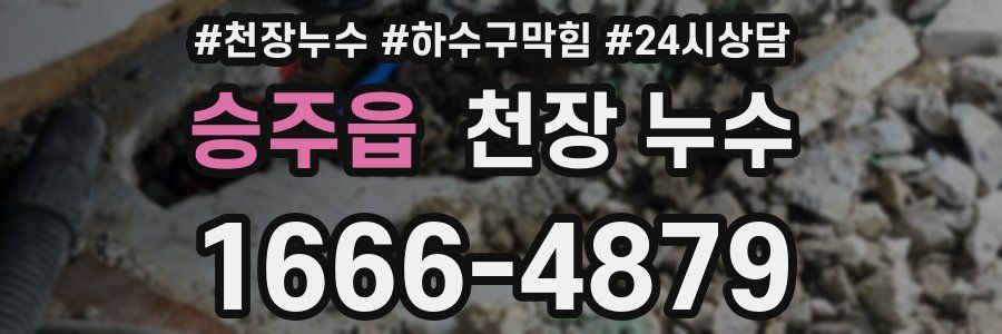 승주읍 천장 누수