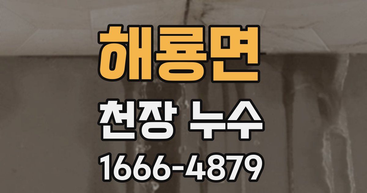 해룡면 천장 누수