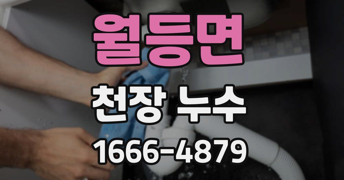 월등면 천장 누수