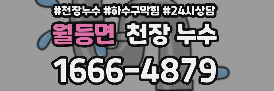 월등면 천장 누수