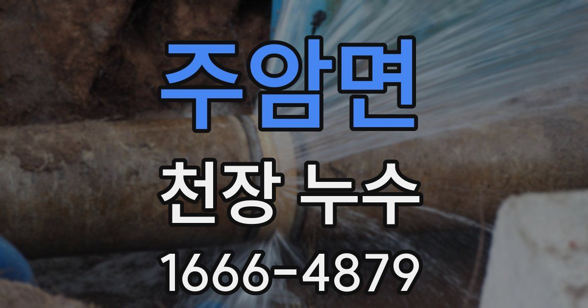 주암면 천장 누수