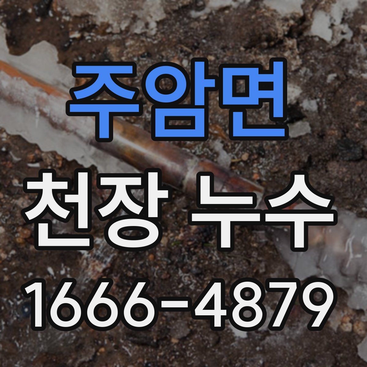 주암면 천장 누수