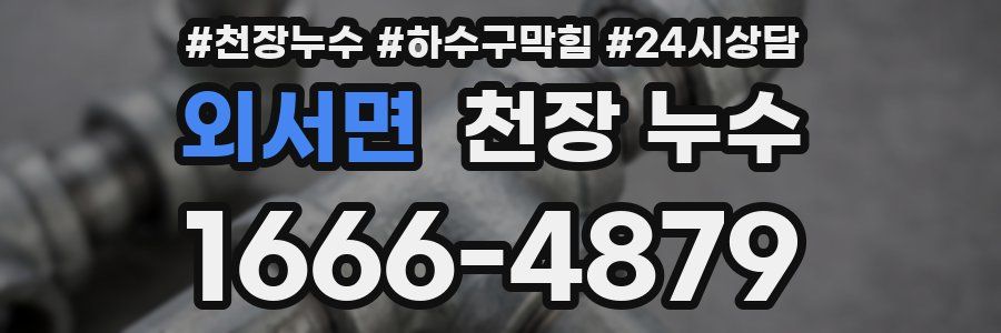 외서면 천장 누수