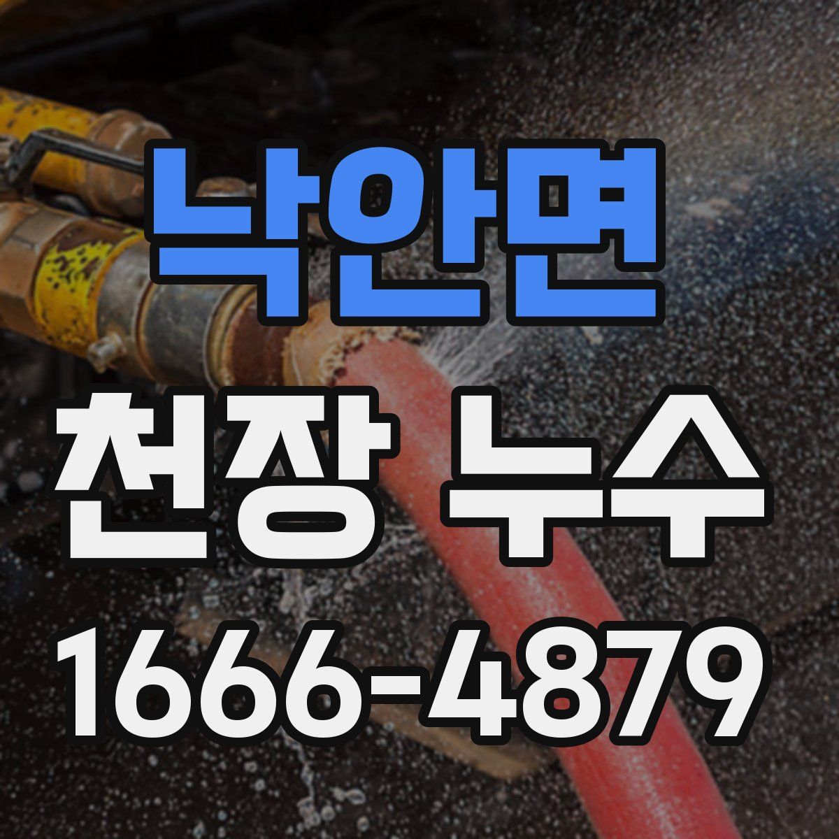 낙안면 천장 누수