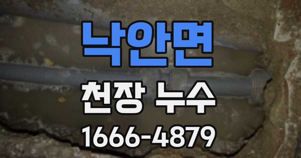 낙안면 천장 누수