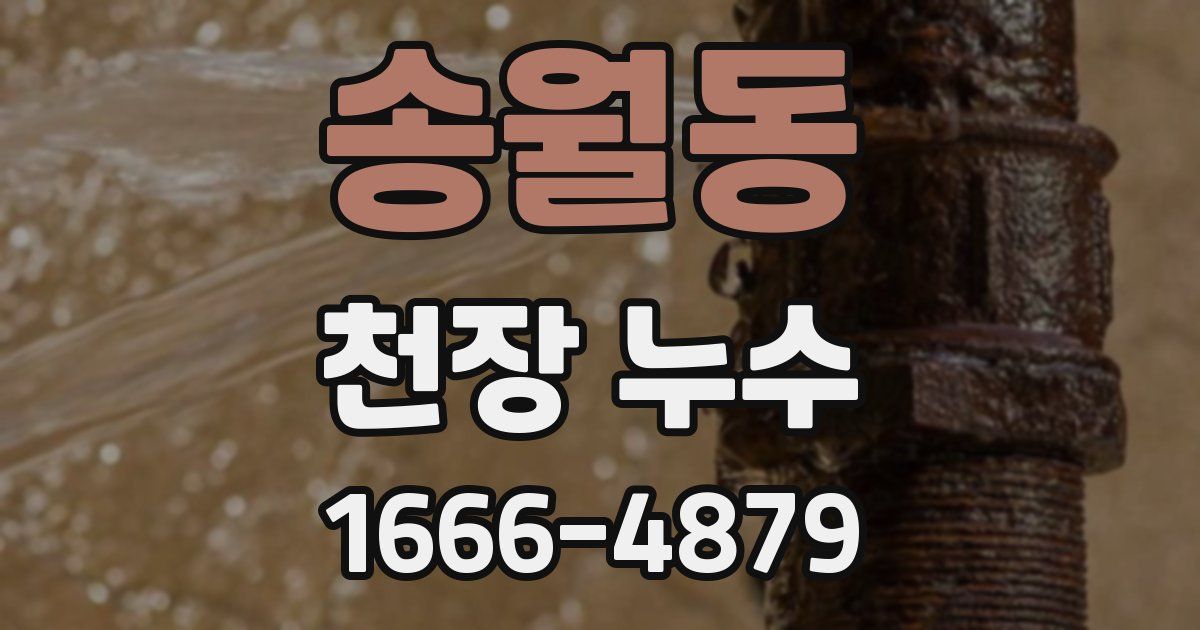 송월동 천장 누수