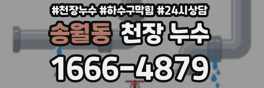 송월동 천장 누수