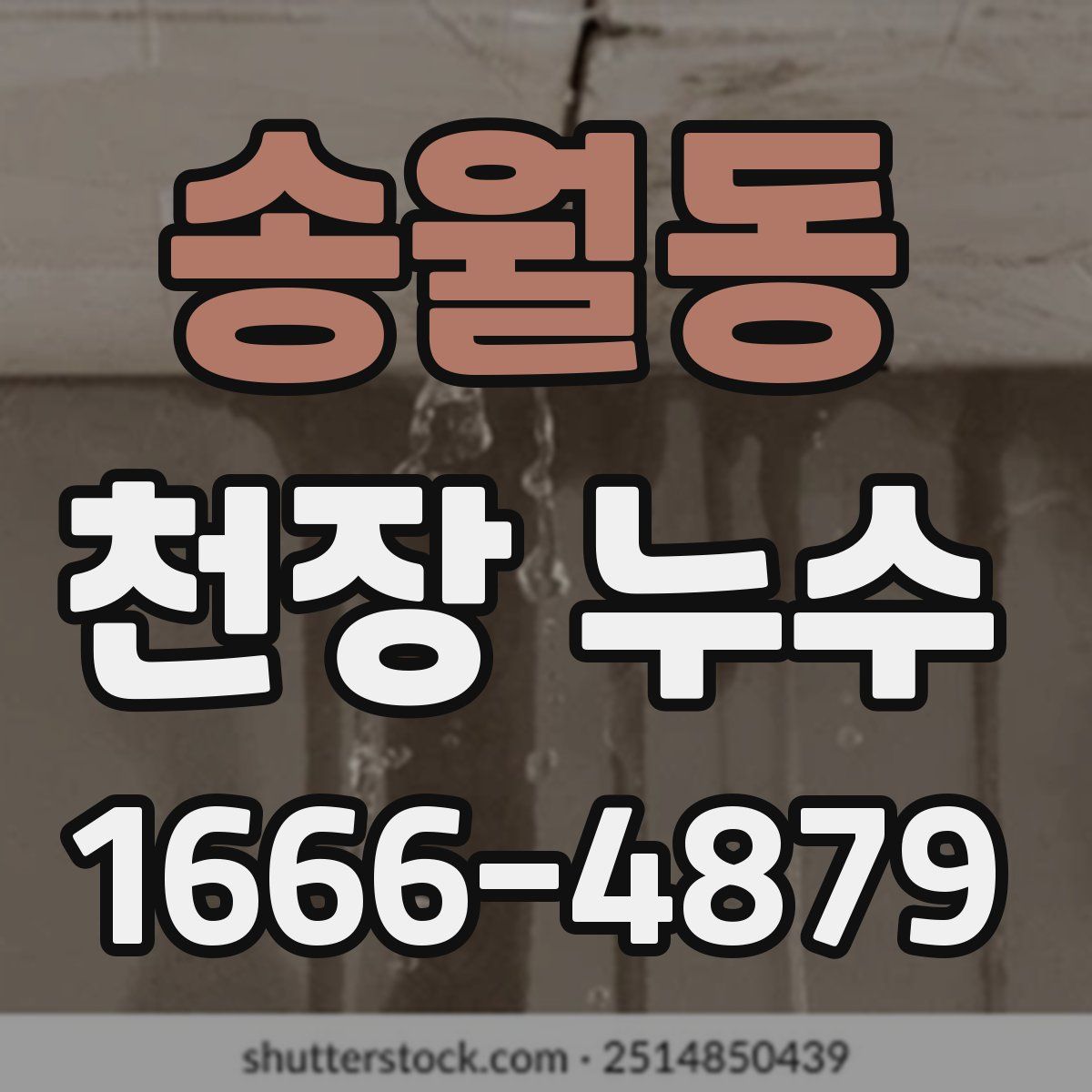 송월동 천장 누수