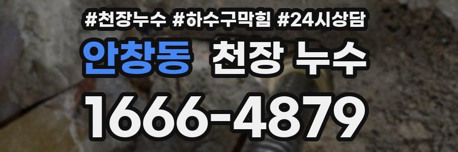 안창동 천장 누수