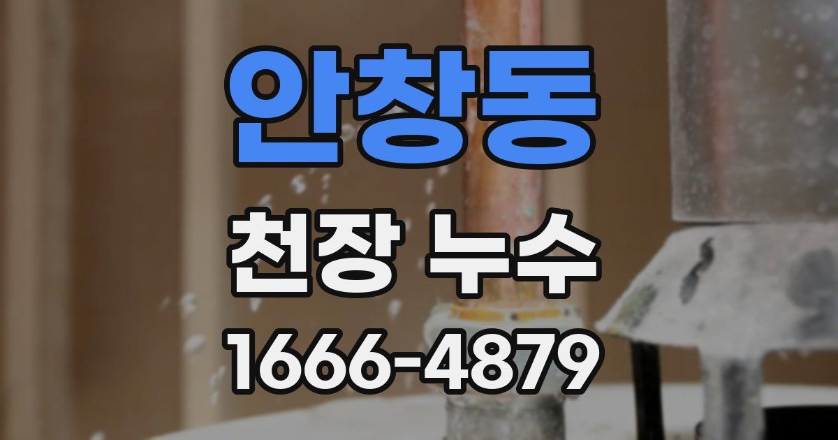 안창동 천장 누수