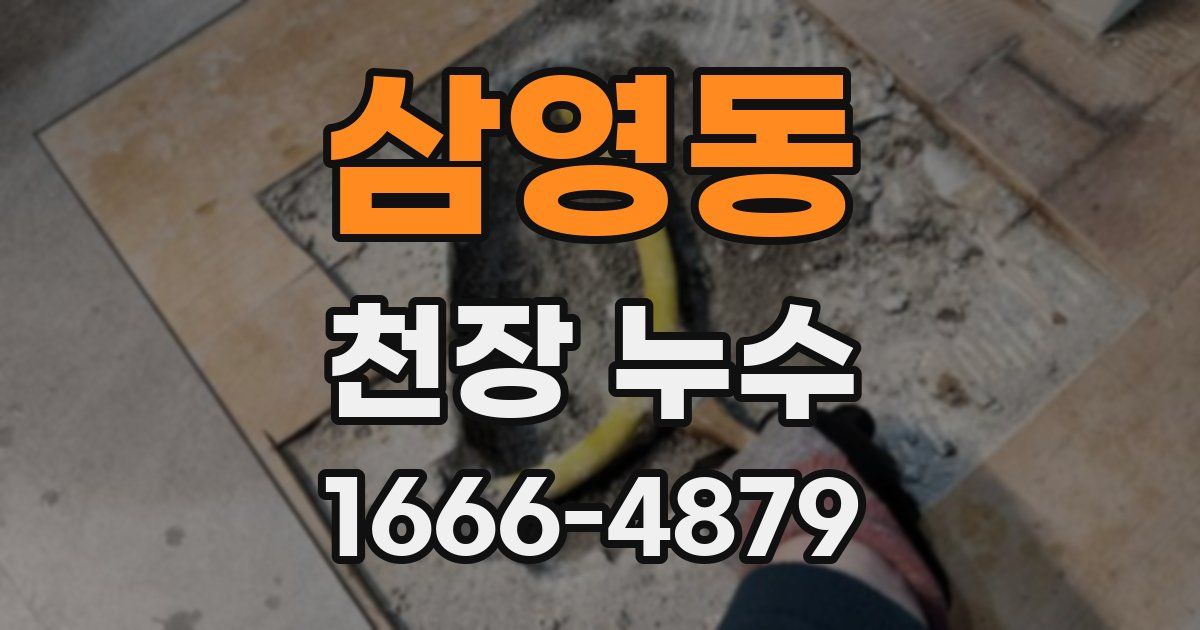 삼영동 천장 누수