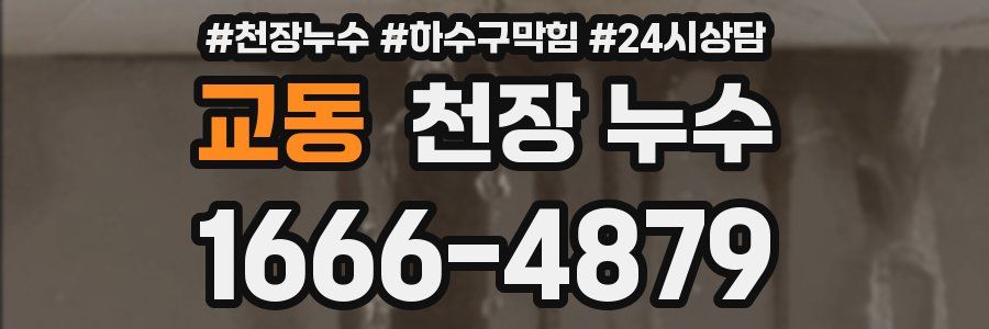 교동 천장 누수