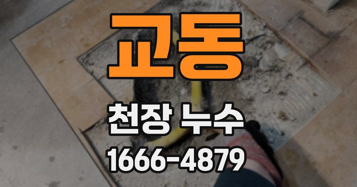 교동 천장 누수