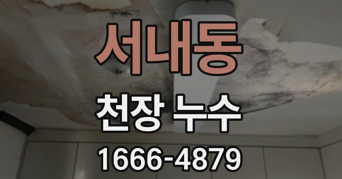 서내동 천장 누수