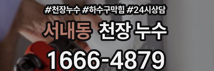 서내동 천장 누수