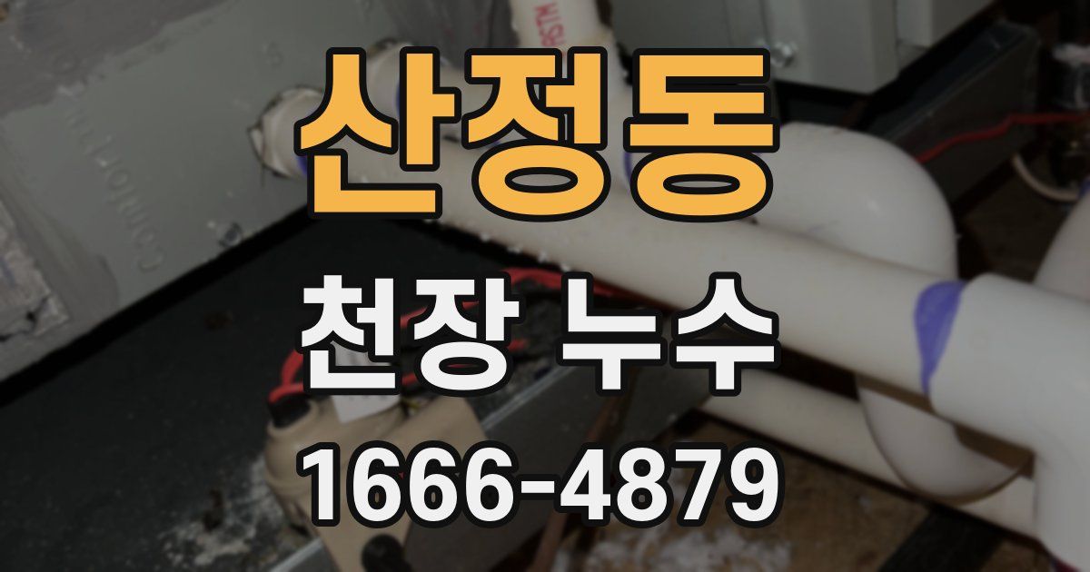 산정동 천장 누수