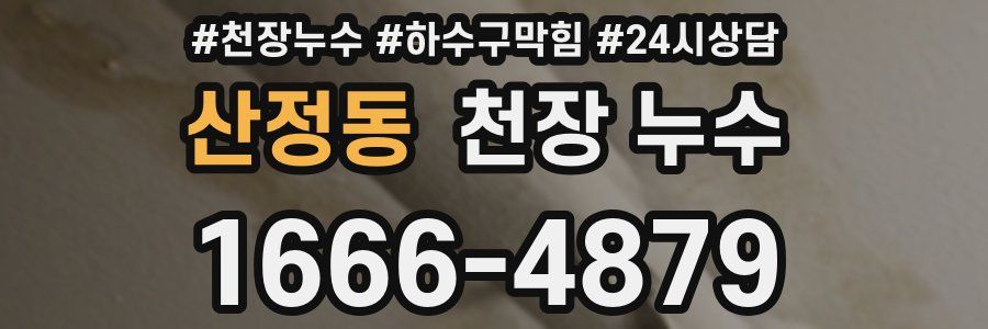 산정동 천장 누수
