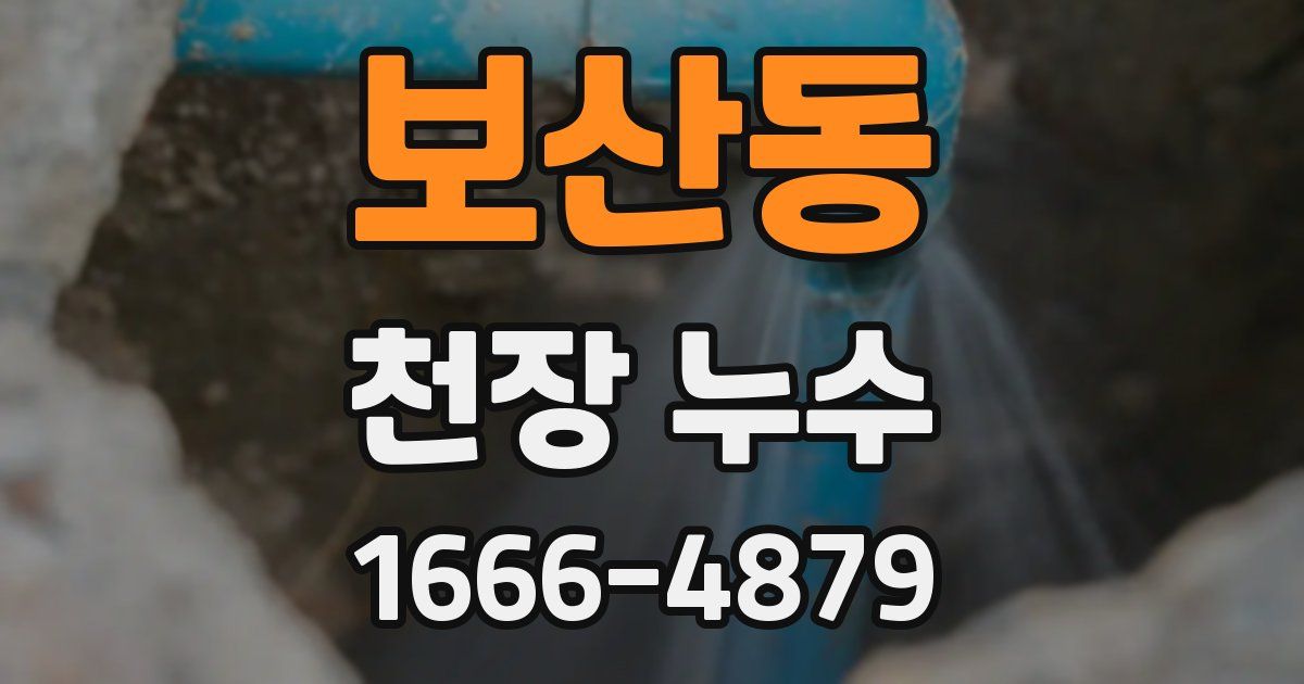 보산동 천장 누수