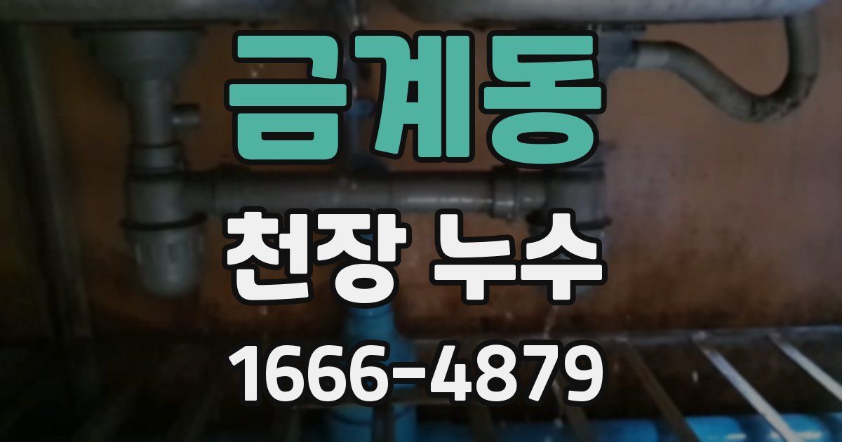 금계동 천장 누수