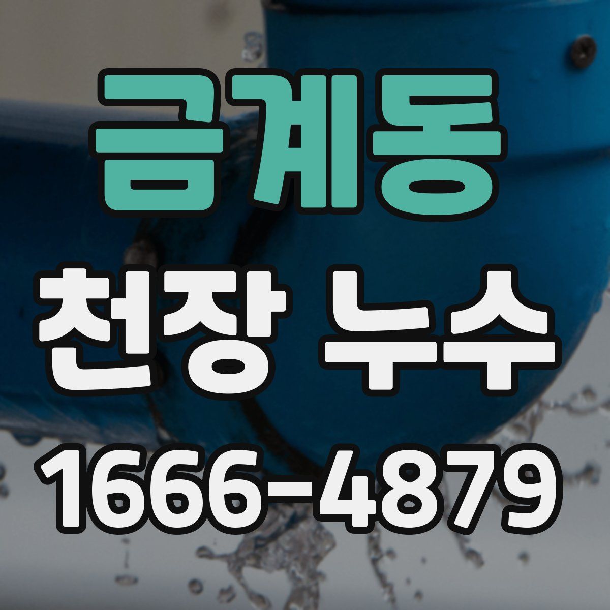 금계동 천장 누수