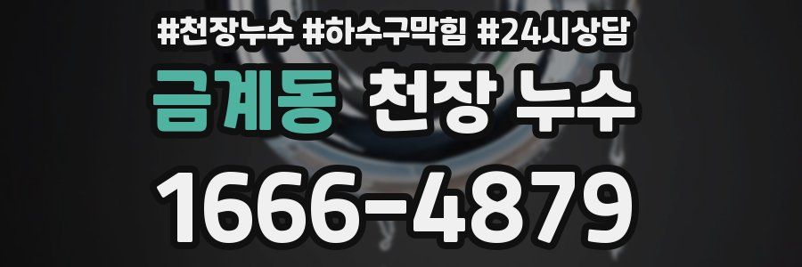 금계동 천장 누수