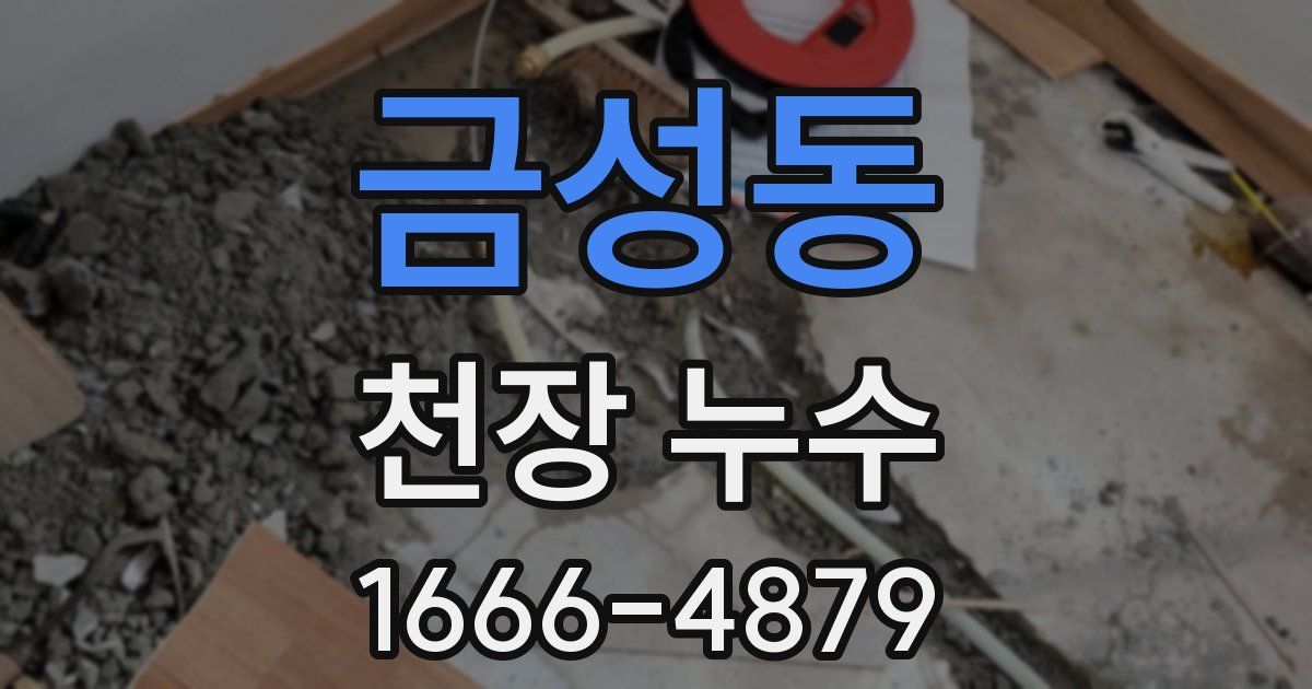 금성동 천장 누수