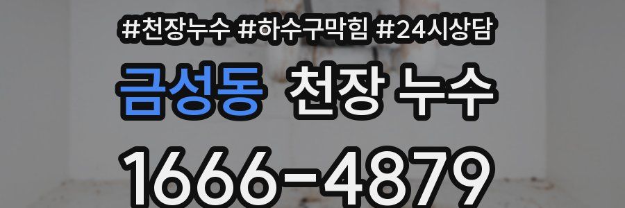 금성동 천장 누수