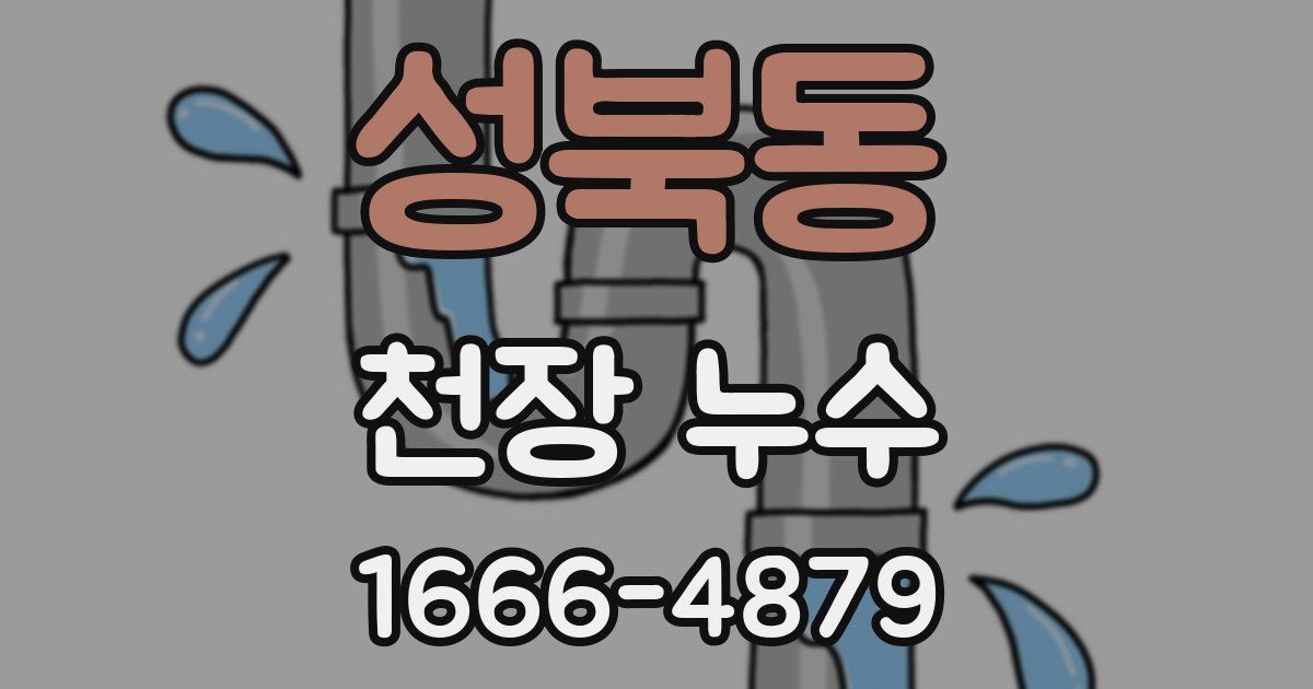 성북동 천장 누수