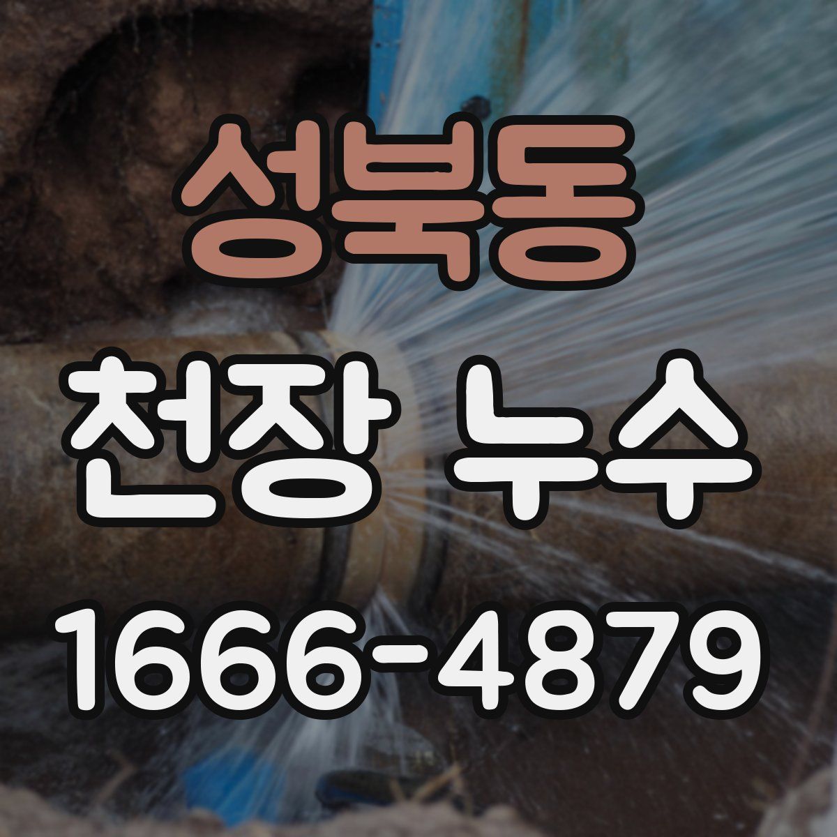 성북동 천장 누수