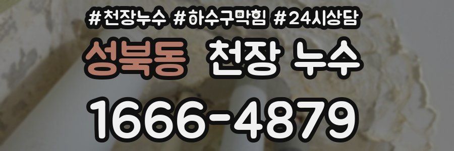 성북동 천장 누수