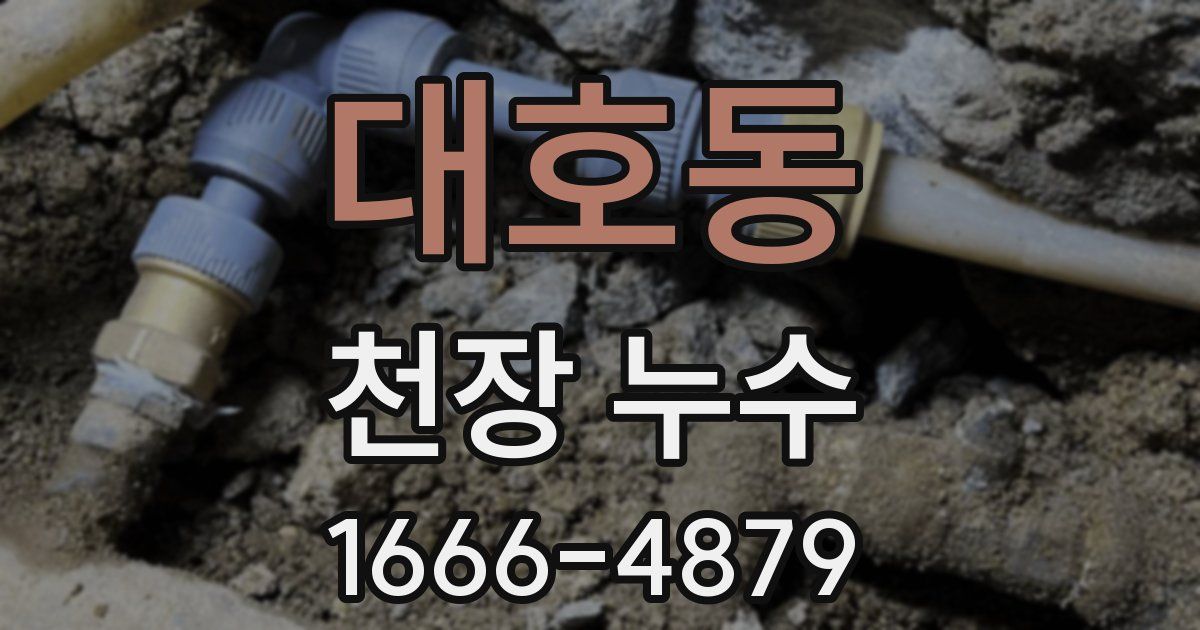 대호동 천장 누수