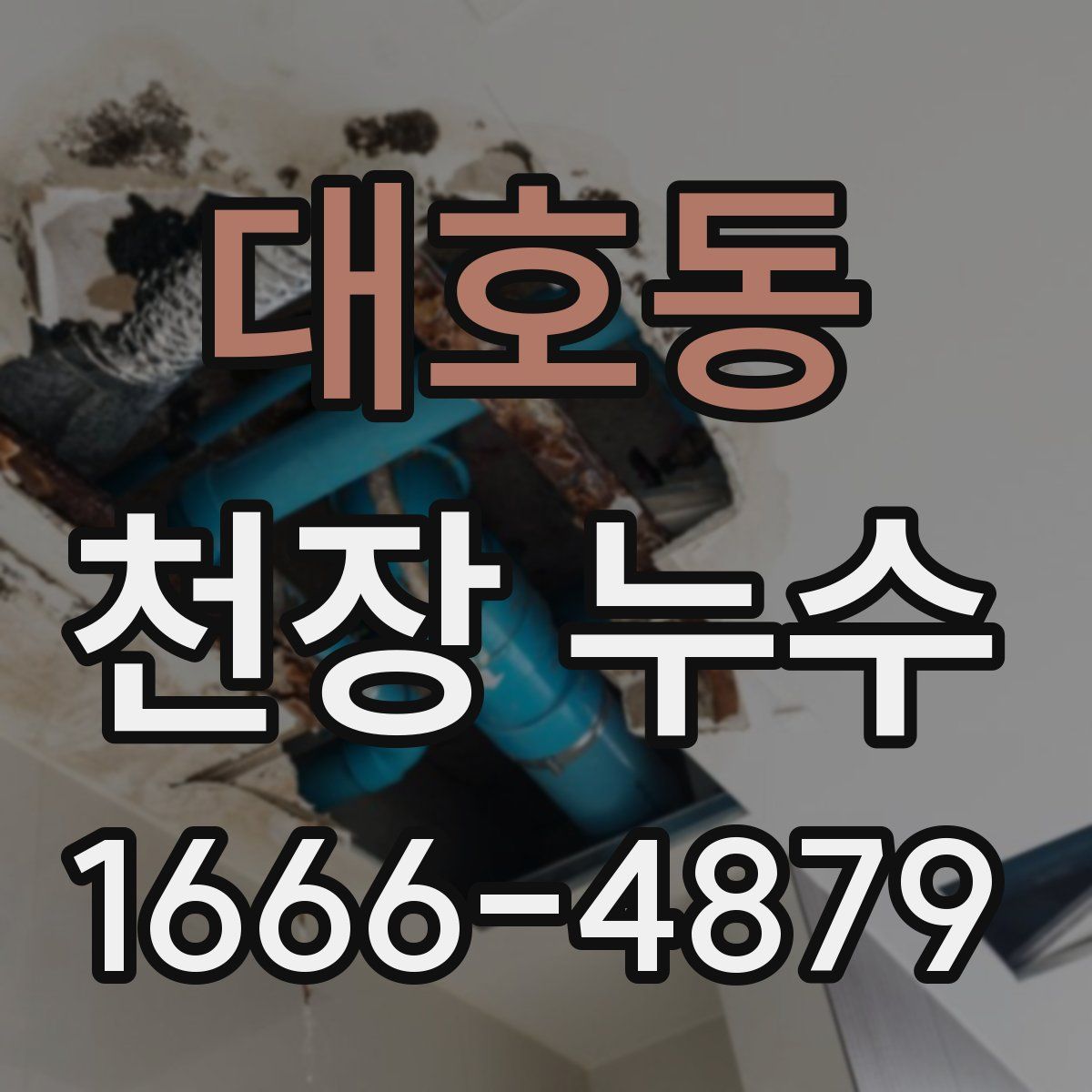 대호동 천장 누수